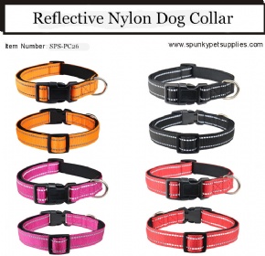 Reflective Dog Collar padded adjustable With Buckle