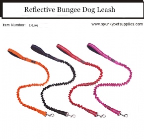 Bungee Dog Leash Stretch Elastic Dog Lead