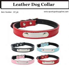 Leather Dog Collar Padded Engraved