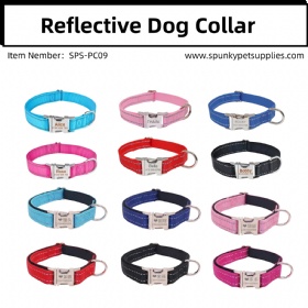 REFLECTIVE PERSONALIZED NYLON DOG COLLAR
